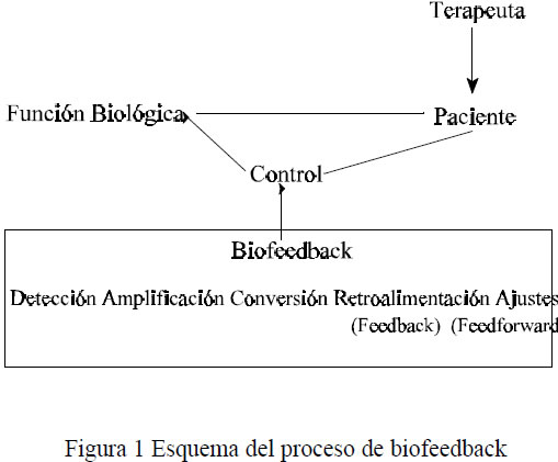Esquema del proceso de biofeedback