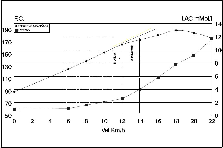 Curva de frecuencia cardíaca y lactato