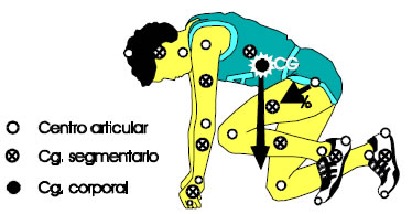 Figura 3. Método segmentario para la obtención del CG.